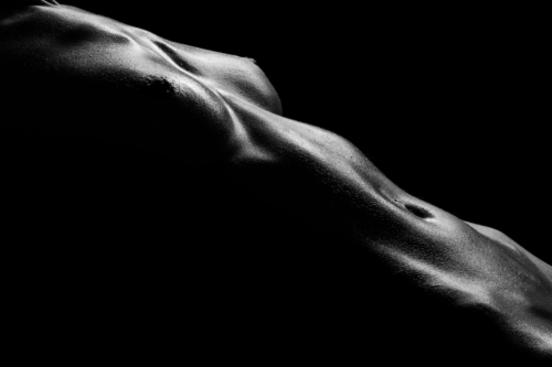 Bodyscapes