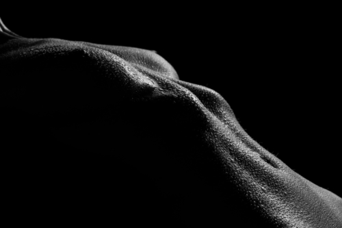 Bodyscapes