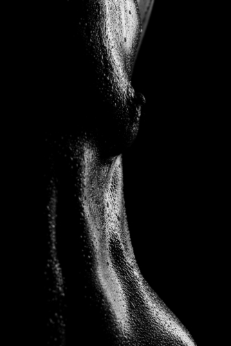 bodyscapes nov 21 2021-6935