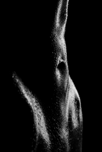 bodyscapes nov 21 2021-6983