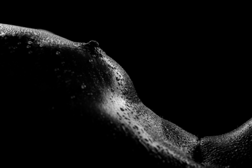 bodyscapes nov 21 2021-7023