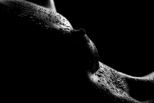 bodyscapes nov 21 2021-7026