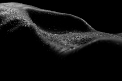 bodyscapes nov 21 2021-7038